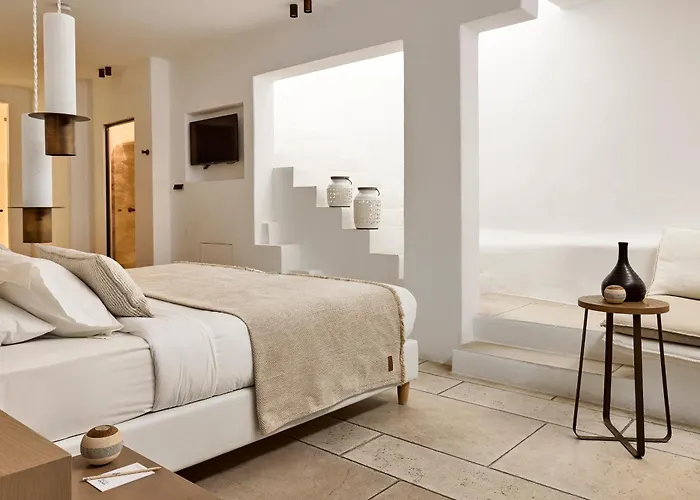 阿多尼斯酒店 4* Mykonos Town